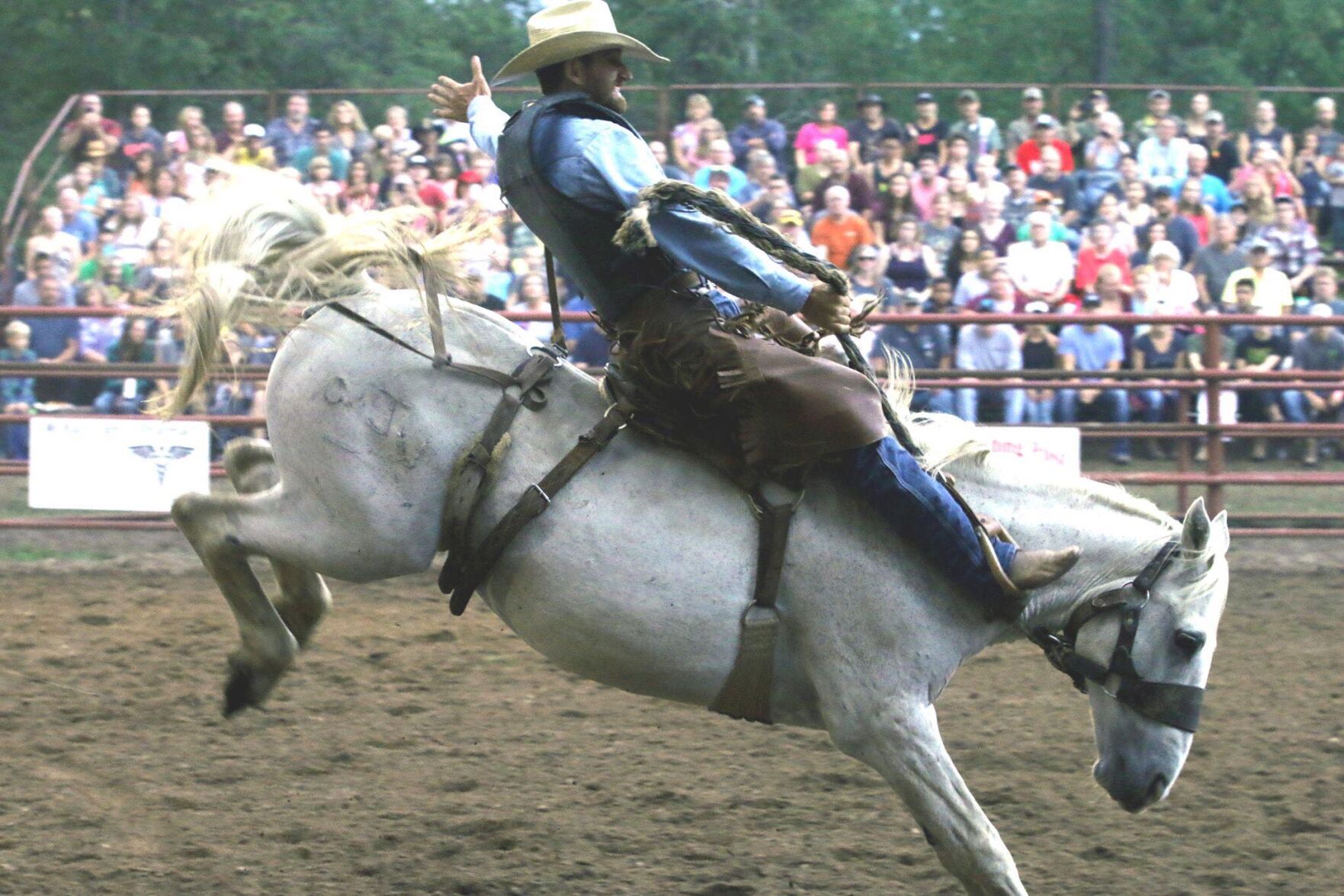 Hughston cow camp file photo